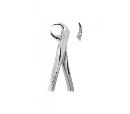 Extracting Forceps